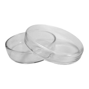 Placa de Petri de Vidro 100X15mm cx/10 un