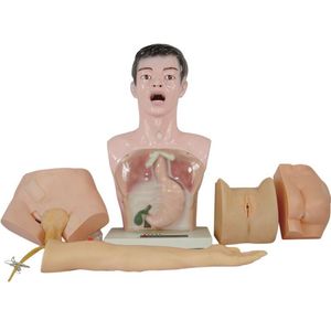 Modelo de Treinamento para Práticas Básicas de Enfermagem