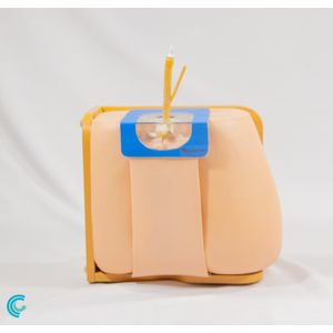 Simulador para Treino de Punção Lombar