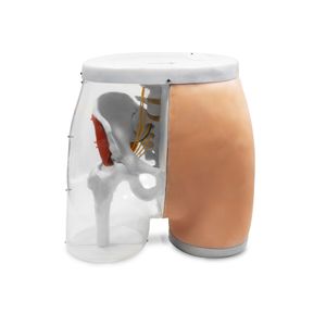 Simulador Modelo de Injeção Intramuscular Eletronico