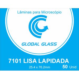 Lamina Microscopia Lisa Lapidada