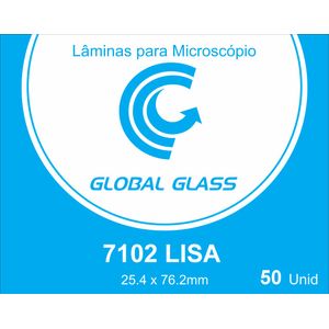 Lamina Microscopia Lisa