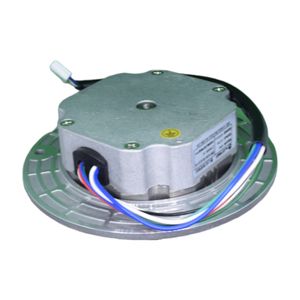 Motor -  Centrifuga Clinica - Centrilab/Centribio CE1020