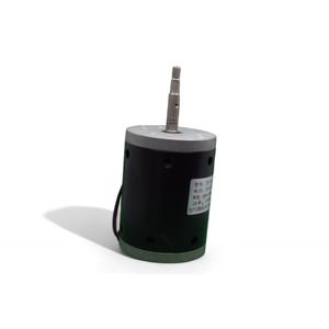 Motor  -  Centrifuga Clinica - CE2000 110v