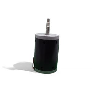 Motor  -  Centrifuga Clinica - CE2001 110v