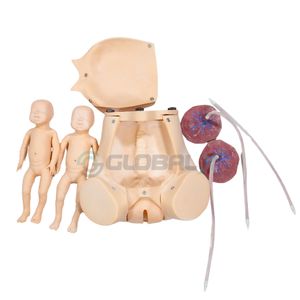 Simulador de Parto Gemelar c/ Placenta, Cordão Umbilical